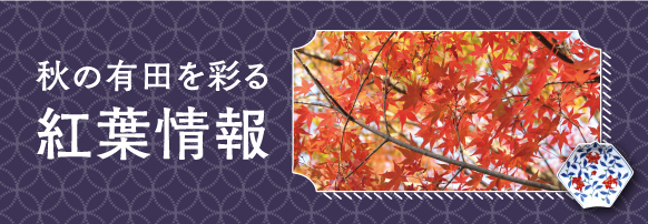秋の有田を彩る紅葉情報