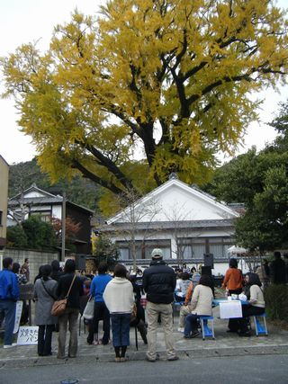 泉山いちょうライブ.jpg