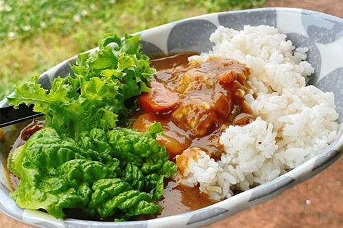 ハッピーラッキー秋の大吉カレー