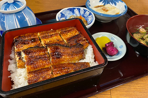 秋のうな重セット（コーヒー・ごどうふ付）