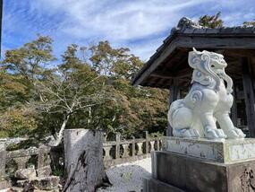 ブログ「準備の裏側」に「【2024年】紅葉情報Vol.1　陶山神社・大公孫樹・歴史民俗資料館・泉山磁石場」をUPしました。