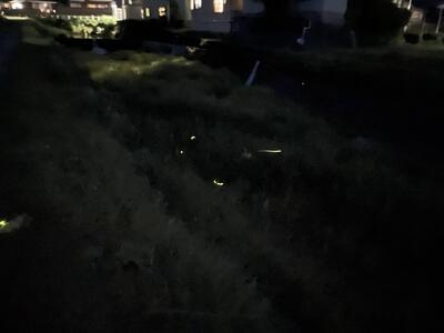 2025-05-27_20-16-14_516.jpeg